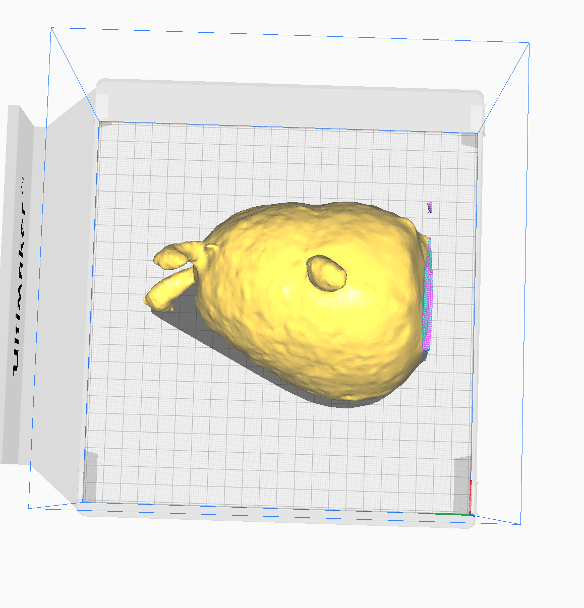 This is the opened file of the Squishmellow beetle, positioned on the top in order to display the shape.
